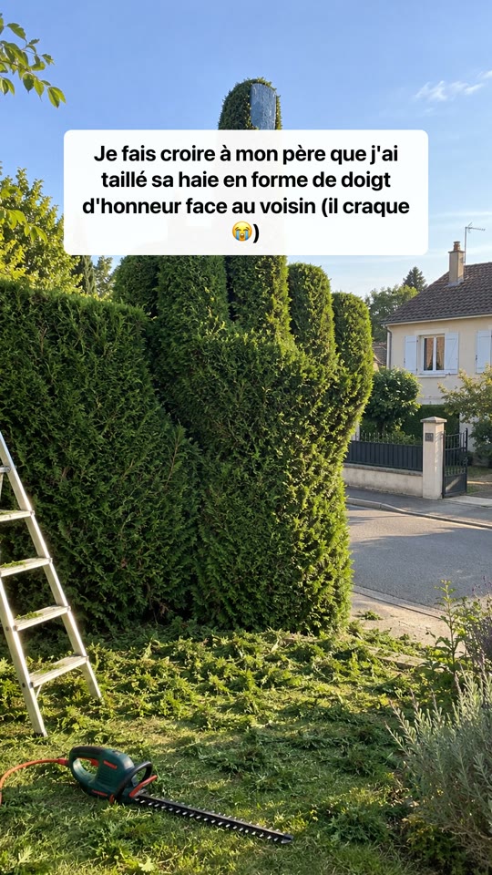 Haie taillée en doigt d'honneur